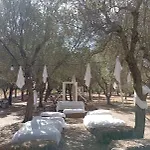Tenuta L'uliveto Διαμέρισμα *