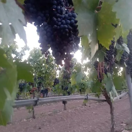 アパート Tenuta L'uliveto *