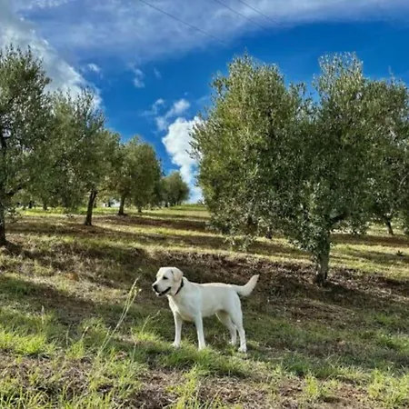 Tenuta L'uliveto Maruggio