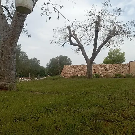 Tenuta L'uliveto