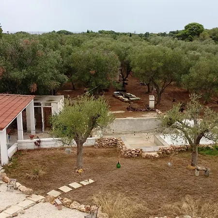 Tenuta L'uliveto